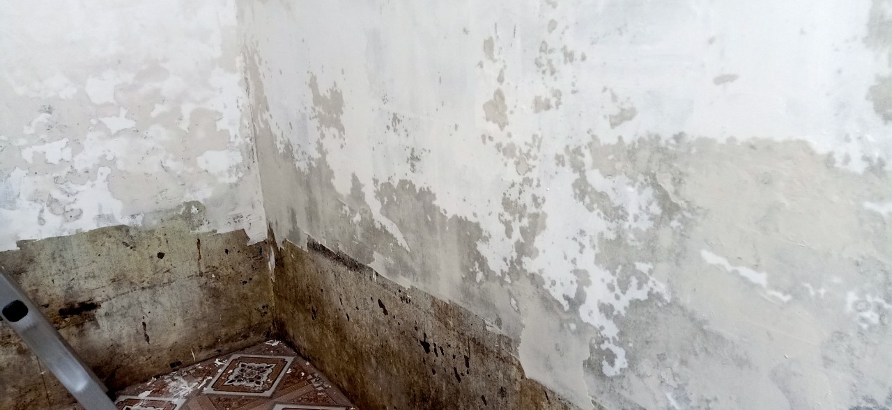 Xử lý tường ẩm mốc bong tróc chất lượng tại Hà Nội